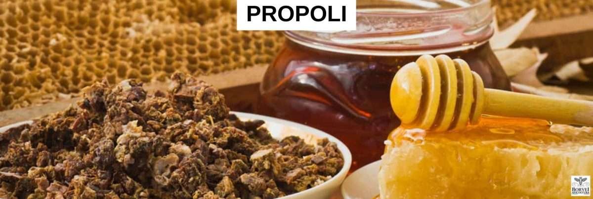 Propoli