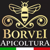 1 Logo Apicoltura BORVEI