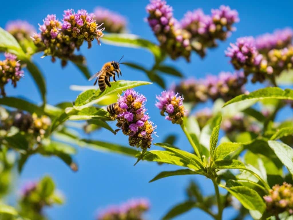 avvistamenti calabrone asiatico in Italia