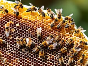 Varroa destructor: Conoscere il nemico per combatterlo