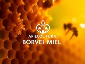 Come Usare i Prodotti delle Api nella Dieta Quotidiana?