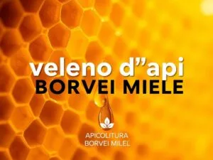 Quali Sono le Proprietà Benefiche del Veleno d’Api? Guida Completa