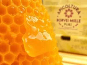 Valori Nutrizionali della Pappa Reale? Proteine, Vitamine e Minerali