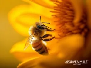 Come le Api Insegnano Alle Nuove Generazioni i Segreti della Raccolta di Nettare