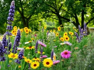 Fioriture Stagionali: Quali Piante Nutrono le Api in Ogni Periodo dell’Anno?