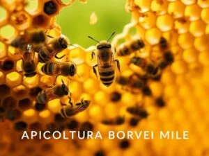 La Produzione della Pappa Reale: Quali Api Sono in Grado di Secreterla?