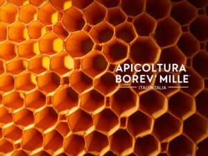 Perché le Celle dell’Alveare Sono Esagonali? La Perfezione della Geometria Naturale 1 Perché le Celle dell’Alveare Sono Esagonali? La Perfezione Geometria Naturale