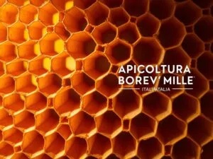Perché le Celle dell’Alveare Sono Esagonali? La Perfezione della Geometria Naturale 1 Perché le Celle dell’Alveare Sono Esagonali? La Perfezione Geometria Naturale
